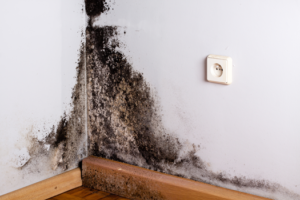 Emergency Water Damage Restoration